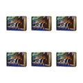Magic: The Gathering Star Trek Bundle Case - 6 Bundles